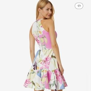 Ted Baker Katrina Skater Dress Size 2 /US 6 NWT